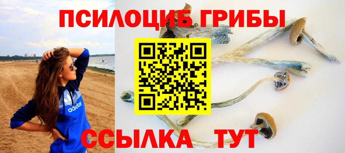 Галлюциногенные грибы Cubensis Верхняя Пышма