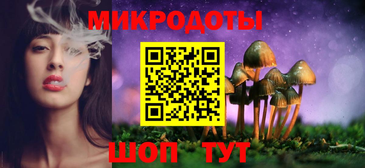 Галлюциногенные грибы Psilocybe  Вход с VPN  Верхняя Пышма  Галлюциногенные грибы Psilocybe 